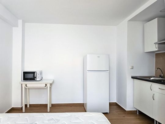 Estudio de alquiler en Calle Pintor Murillo, 57, Campoamor - Photo 1