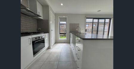 Daintree Delight in Donnybrook - Photo 2