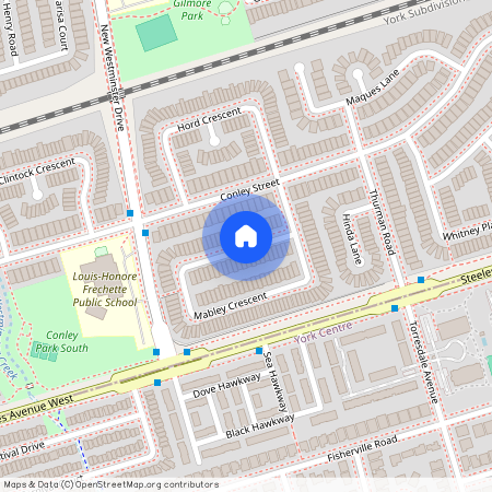 BASEMENT - 175 MABLEY CRESCENT, Vaughan