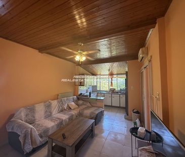 Μονοκατοικία για ενοικίαση Ρέστη (Σαλαμίνα) - Photo 2