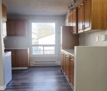 For Lease - 25 Sheldon Street, Brantford, Ontario - Photo 4