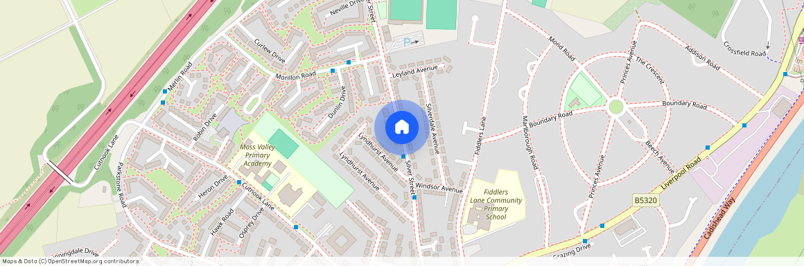 Silver Street, Irlam, Manchester, M44