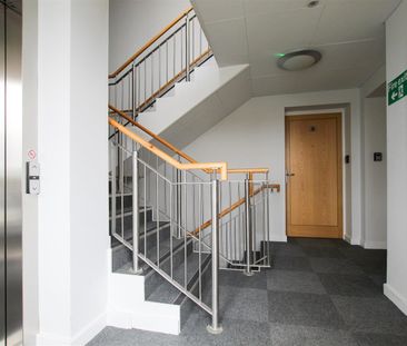 Severn Place, Cambridge - Photo 6