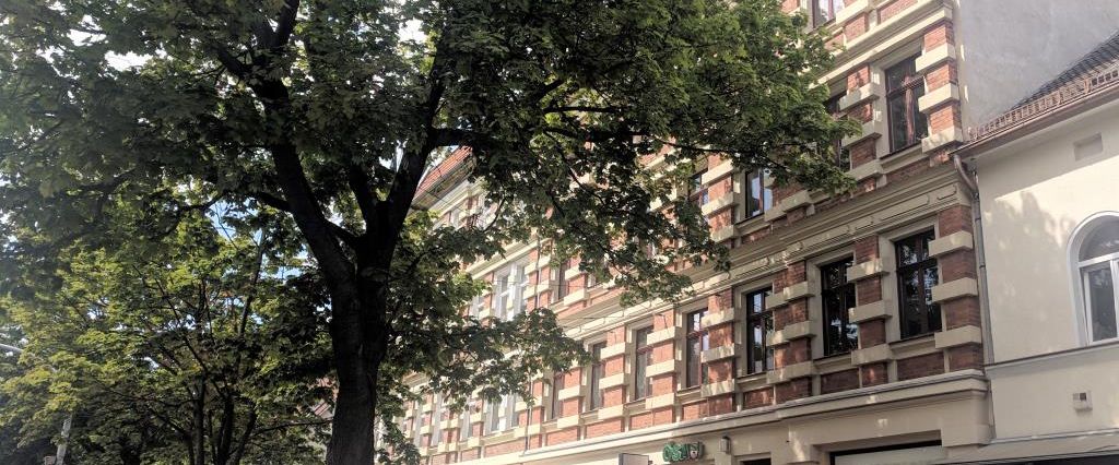 3-Zimmer-Wohnung in Magdeburg - Photo 1