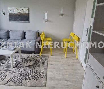 Wałbrzych, Piaskowa Góra Mieszkanie na wynajem - Zdjęcie 4