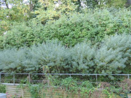 Appartement - 37,58 m² - 2 pièces - Photo 3