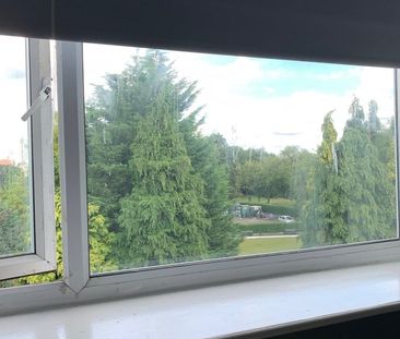 Studio Flat, Cambrian Terrace, LS11 - Photo 2