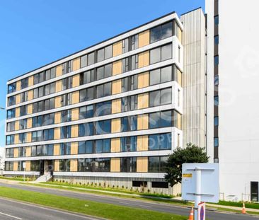 In The Heart of Albany - Photo 4