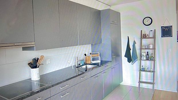 3½ Zimmer-Wohnung in Allschwil (BL), möbliert, auf Zeit - Foto 1