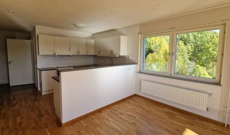 Granloholmsvägen, Sundsvall - Foto 2