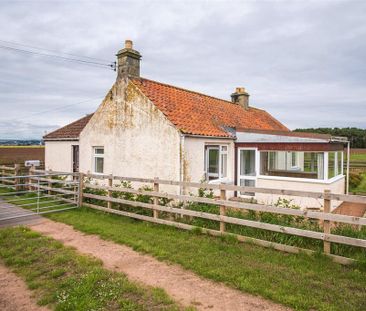 2 bedroom bungalow to rent - Photo 3