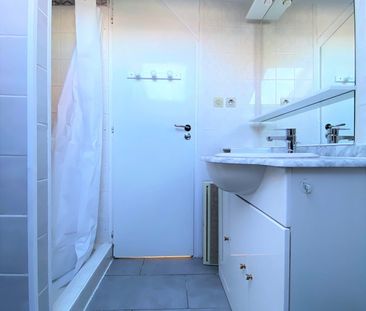 Location Appartement 2 pièces 15m² GRENOBLE 38000 - Photo 2