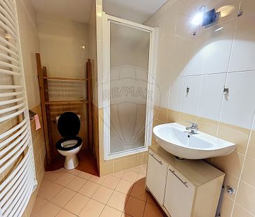 Appartement 1 chambre(s) à louer - Sainte-Suzanne - Photo 3