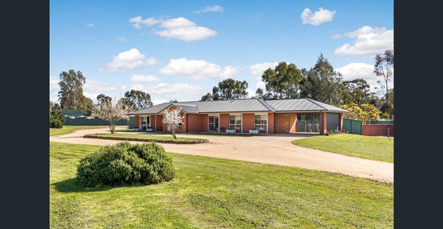 LARGE BLOCK WITH A SHED! - Photo 1