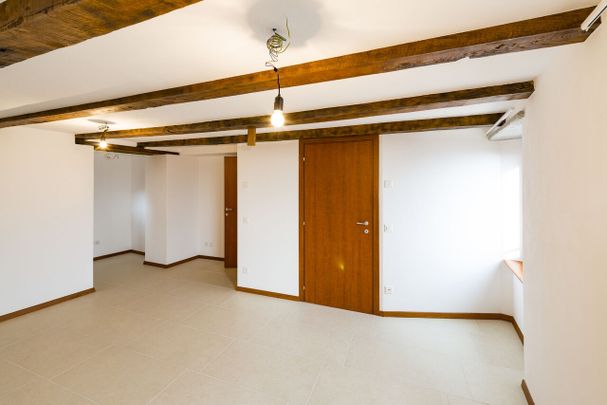 Triplex apartment with magnificent panoramic view - Photo 1