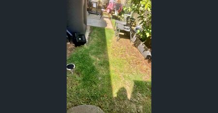 House in Selective School Catchment Area!!! - Photo 5