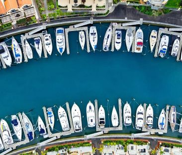 Waterfront Luxury Apartment in Gulf Harbour - Photo 6