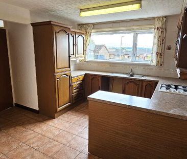 13 Grahamstown Park, Ballyclare, BT39 9RB - Photo 1