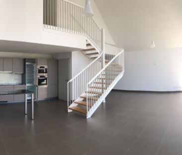 Location Appartement 5 pièces 155m² - Photo 1