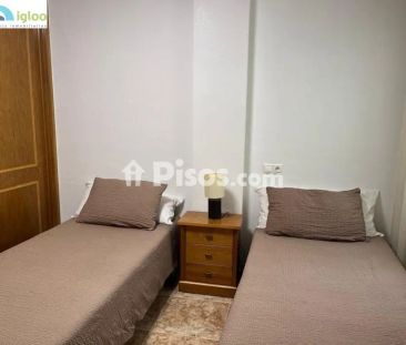 Piso en alquiler en Calle Dr Sirvent, Número 52 - Photo 4