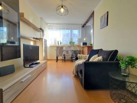 MIESZKANIE PRZYJAZNE KOTOM, 2 POKOJE, BALKON - Photo 5