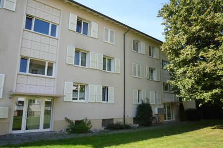 Zwischen Gemeindepark Allschwil und Letten Center - gemütliche 2-Zimmerwohnung - Photo 3
