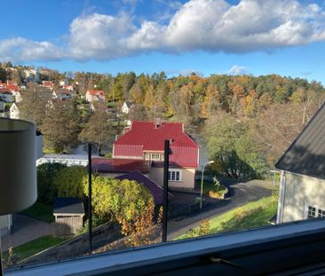 Sveagatan, Borås - Foto 3