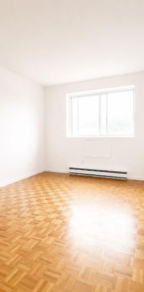 1 CH - 1 SDB - Longueuil - $1,300 /mo - Photo 1