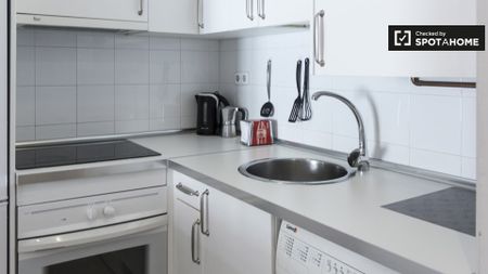 madrid, Community of Madrid 28012 - Photo 5