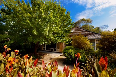 PLH5 Medium - Photo 4