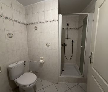 Location Appartement 4 pièces 105m² SELESTAT 67600 - Photo 6