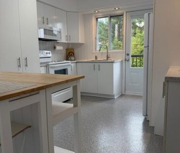 10245 Rue D'Iberville, H2B 2T7, H2B 2T7, Montréal - Photo 1