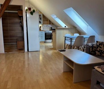 Podkrovní byt 3+1 ve Valticích - Fotografie 2
