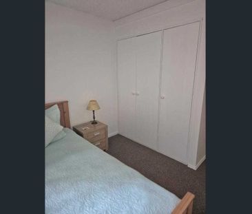 7/56 Trinculo Place, Queanbeyan East NSW 2620 - Apartment For Rent ... - Photo 5