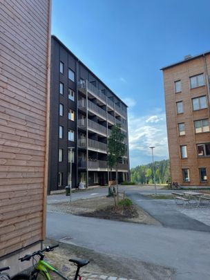 Fru Lovisas Gata, Skellefteå - Photo 1