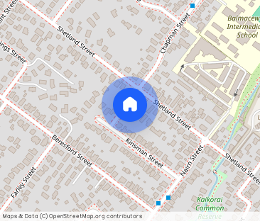 2 Dale Street, Wakari - Photo 1