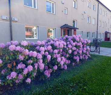 Torngatan 36 B - Photo 2