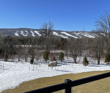 Condo à louer à The Blue Mountains - Photo 3