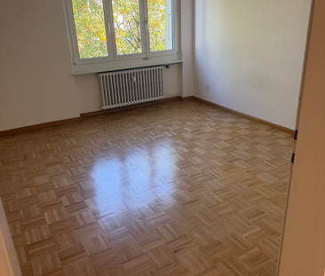 Schöne 2.5 Zimmer Wohnung an ruhiger Lage - Photo 6
