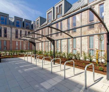 Gold Ensuite - Photo 6