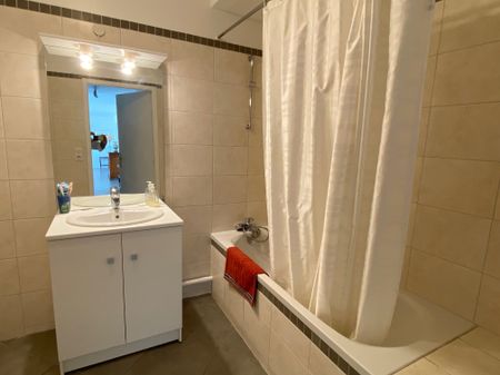 Location Appartement 6 pièces 164m² LIMOGES 87000 - Photo 3