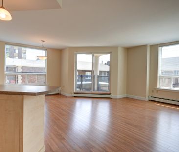 One Bedroom + Den - Photo 2