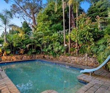 Upper Ferntree Gully - Photo 6