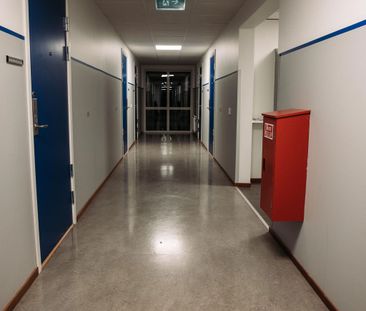 Albert Engströms Gata, Norrtälje - Photo 5