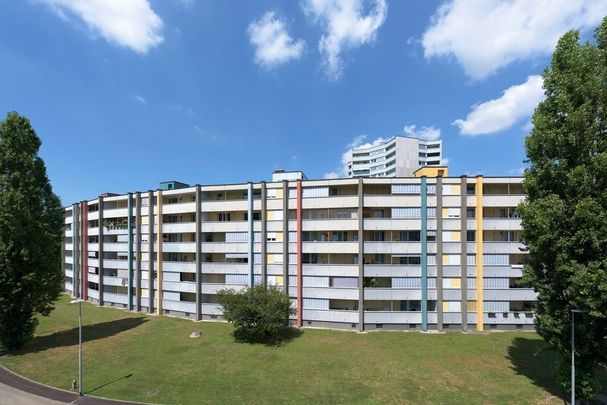 Familienwohnung in ruhigem Quartier - Photo 1