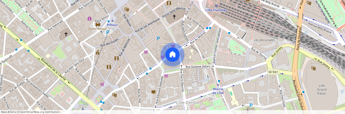 71 Rue Du Molinel, 59800, Lille