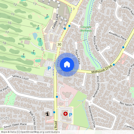 147 Millhouse Drive, Golflands, Manukau City