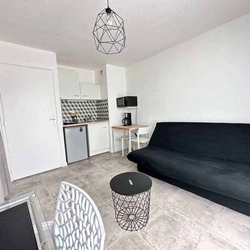 Location Appartement 1 pièce Meublé 19m² NANTES 44000 - Photo 1