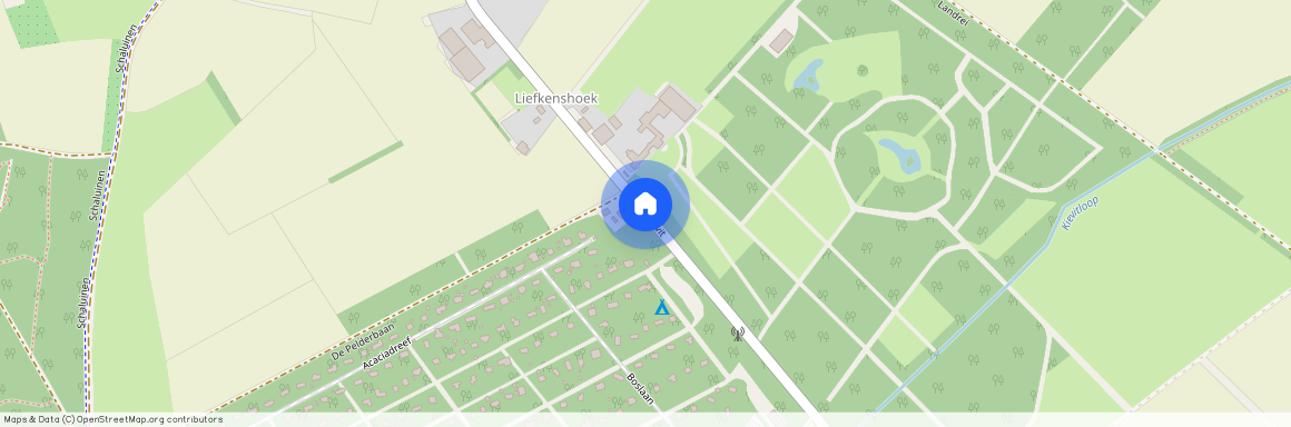 Kievit, Baarle-Nassau