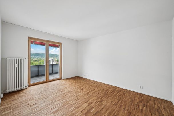 Moderne Wohnung im Hirzbrunnenquatier! - Photo 1